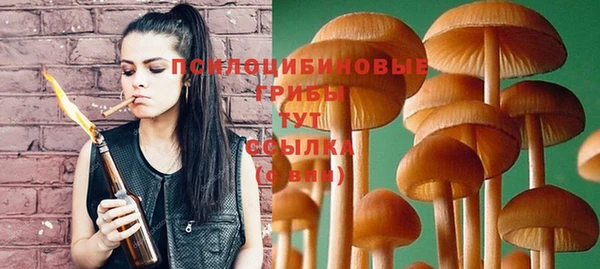 PSILOCYBIN Аркадак
