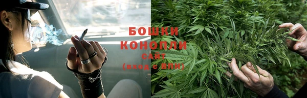 мяу мяу мука Сафоново