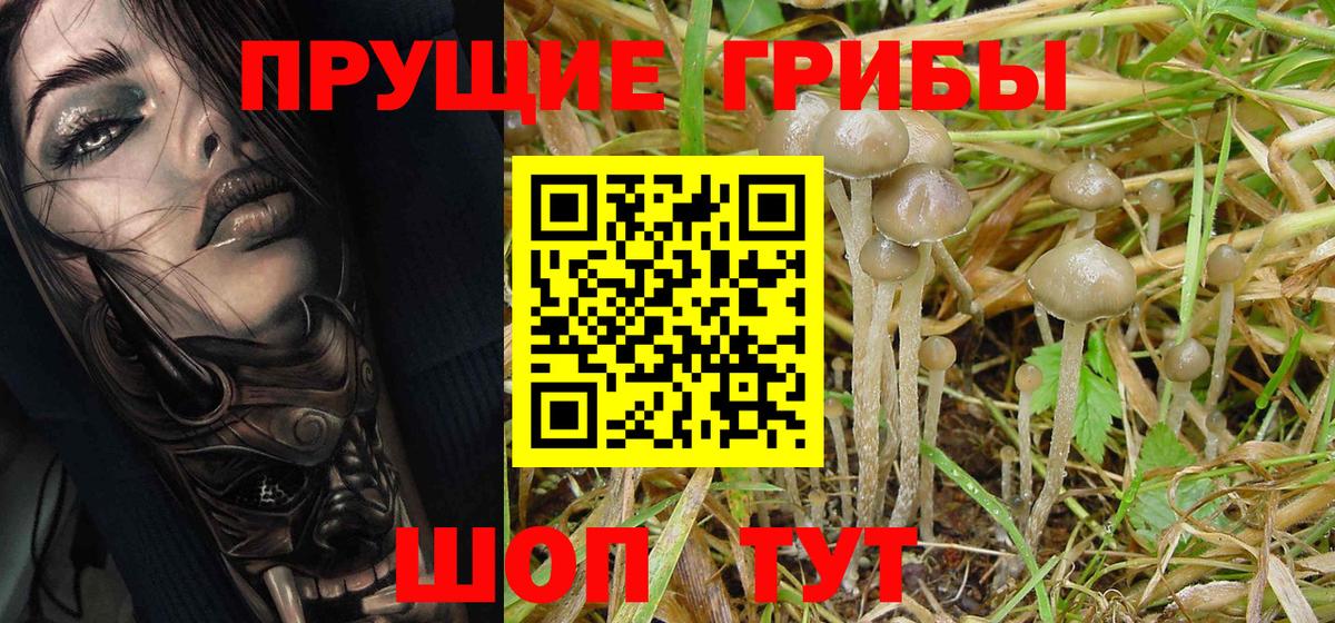 Галлюциногенные грибы Magic Shrooms Усинск