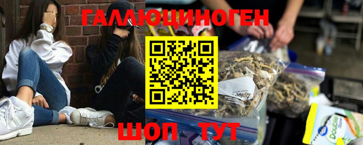 Усинск  закладка  Вход с VPN  Псилоцибиновые грибы Psilocybine cubensis 